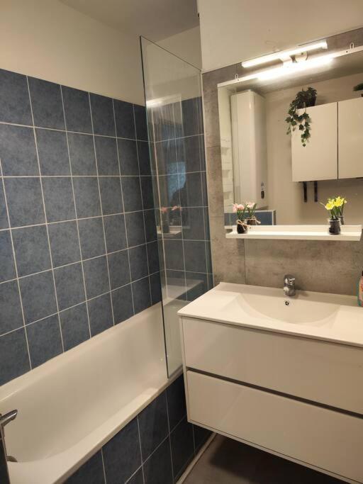 Le Cocon Manceau Apartment