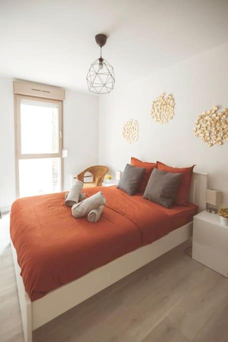 Apartment Le Cocon Manceau *